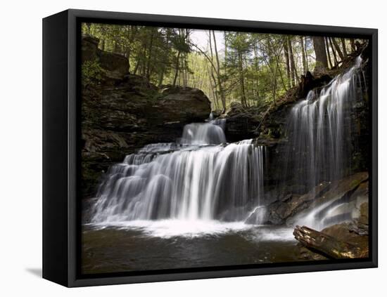 R.B. Ricketts Falls, Ricketts Glenn State Park, Pennsylvania, USA-James Hager-Framed Premier Image Canvas