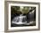 R.B. Ricketts Falls, Ricketts Glenn State Park, Pennsylvania, USA-James Hager-Framed Photographic Print