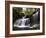 R.B. Ricketts Falls, Ricketts Glenn State Park, Pennsylvania, USA-James Hager-Framed Photographic Print