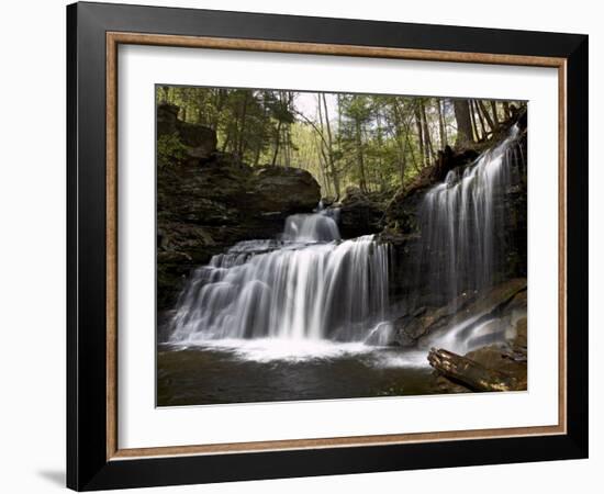 R.B. Ricketts Falls, Ricketts Glenn State Park, Pennsylvania, USA-James Hager-Framed Photographic Print