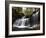 R.B. Ricketts Falls, Ricketts Glenn State Park, Pennsylvania, USA-James Hager-Framed Photographic Print