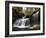 R.B. Ricketts Falls, Ricketts Glenn State Park, Pennsylvania, USA-James Hager-Framed Photographic Print