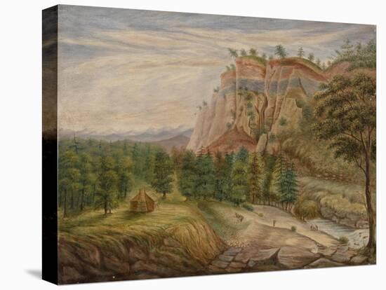 Stretched Canvas Print, , large