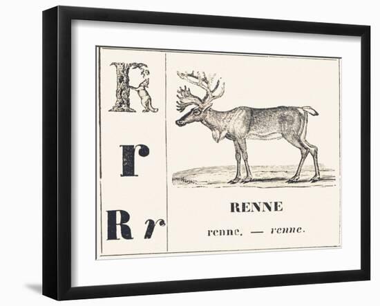 R for Reindeer, 1850 (Engraving)-Louis Simon (1810-1870) Lassalle-Framed Giclee Print