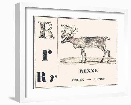 R for Reindeer, 1850 (Engraving)-Louis Simon (1810-1870) Lassalle-Framed Giclee Print