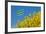 RŸgen, Rape in Front of Blue Sky, Town Sign Nonnevitz-Catharina Lux-Framed Photographic Print