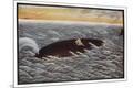 Premium Giclee Print