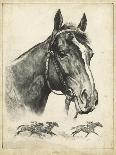 Whirlaway-R.H. Palenske-Art Print