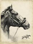 Whirlaway-R.H. Palenske-Art Print