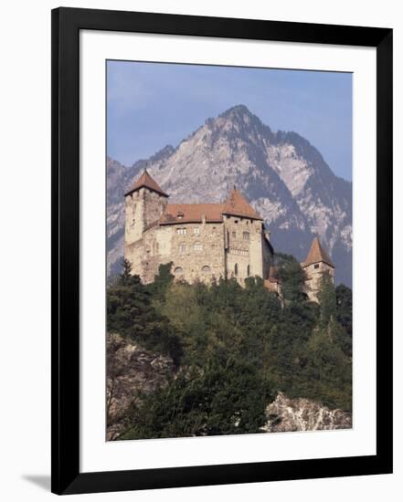 Photographic Print, , large