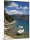 Photographic Print