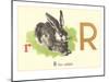 R is for Rabbit-null-Mounted Art Print