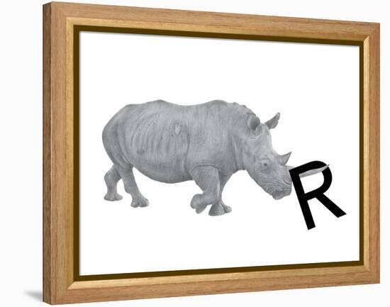 R is for Rhinoceros-Stacy Hsu-Framed Stretched Canvas