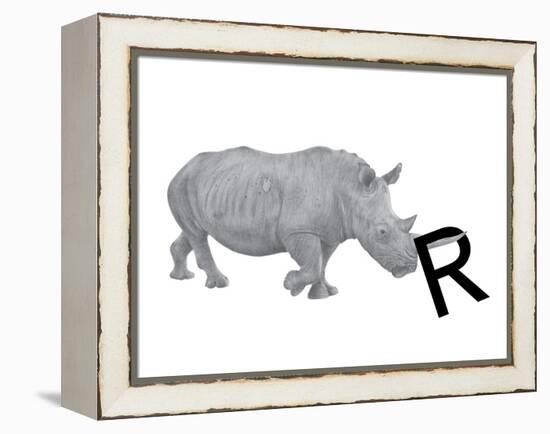 R is for Rhinoceros-Stacy Hsu-Framed Stretched Canvas