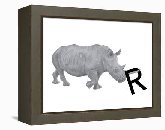 R is for Rhinoceros-Stacy Hsu-Framed Stretched Canvas