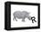 R is for Rhinoceros-Stacy Hsu-Framed Stretched Canvas