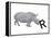 R is for Rhinoceros-Stacy Hsu-Framed Stretched Canvas