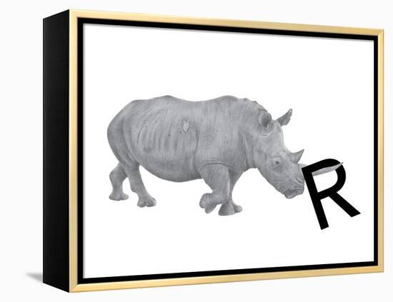 R is for Rhinoceros-Stacy Hsu-Framed Stretched Canvas