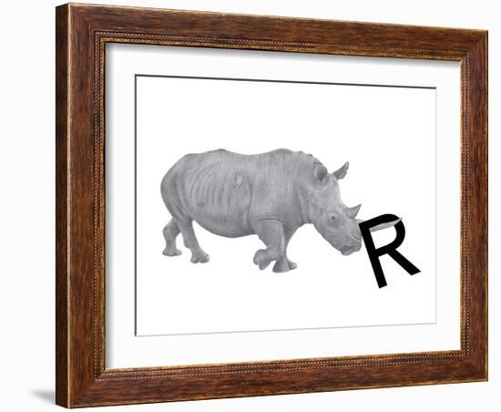 R is for Rhinoceros-Stacy Hsu-Framed Art Print