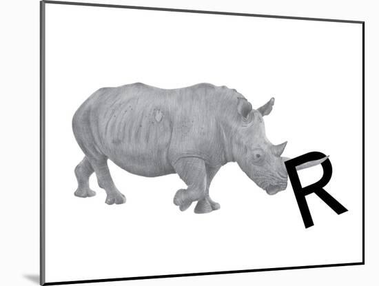 R is for Rhinoceros-Stacy Hsu-Mounted Art Print