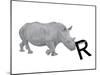 R is for Rhinoceros-Stacy Hsu-Mounted Art Print