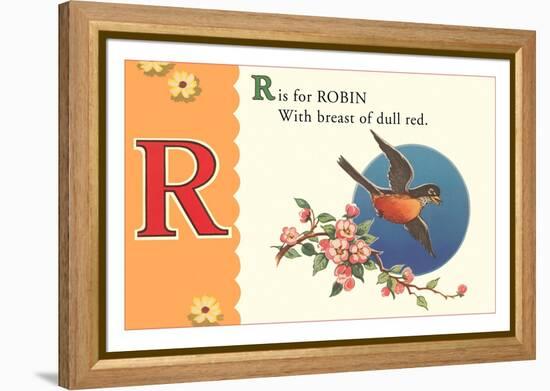 R is for Robin-null-Framed Stretched Canvas