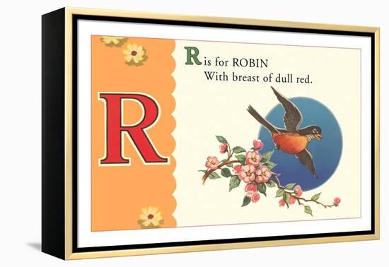 R is for Robin-null-Framed Stretched Canvas