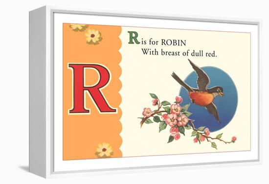 R is for Robin-null-Framed Stretched Canvas