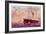 R.M. S. Megantic, Ocean Liner-null-Framed Art Print