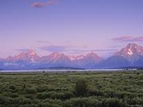 Grand Teton National Park, Wyoming, USA-R Mcleod-Premier Image Canvas