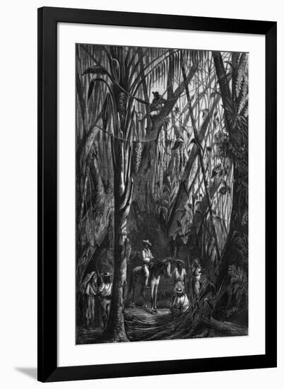 Art Print, , large