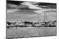 Photographic Print