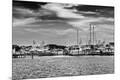 Photographic Print
