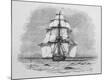 Photographic Print