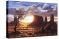 Stretched Canvas Print