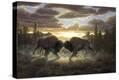 Stretched Canvas Print