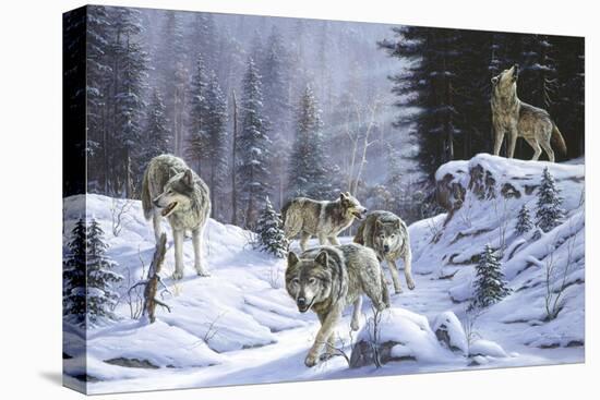 Stretched Canvas Print, , large