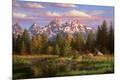 Premium Giclee Print