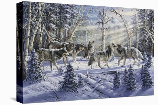 Stretched Canvas Print, , large