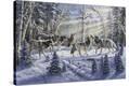 Stretched Canvas Print
