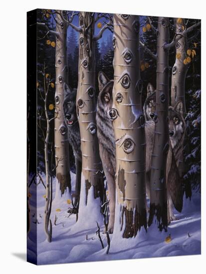 Stretched Canvas Print, , large