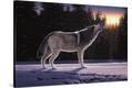 Stretched Canvas Print