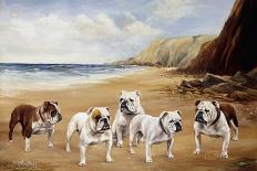 Bulldogs on a Beach-R. Ward Binks-Giclee Print