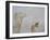 Rabari Leading Camel-Lincoln Seligman-Framed Giclee Print