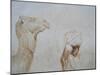 Rabari Leading Camel-Lincoln Seligman-Mounted Giclee Print