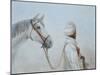 Rabari Leading Grey Horse-Lincoln Seligman-Mounted Giclee Print