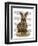 Rabbit and Pearls, Full-Fab Funky-Framed Art Print