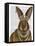 Rabbit and Pearls, Portrait-Fab Funky-Framed Stretched Canvas