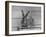 Rabbit Being Displayed at a Rabbit Show-null-Framed Photographic Print