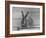 Rabbit Being Displayed at a Rabbit Show-null-Framed Photographic Print